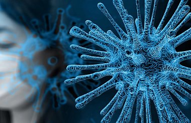 Aktuální informace - koronavirus