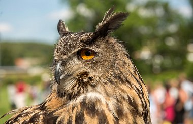 Akce na víkend 19.-21.7.2019